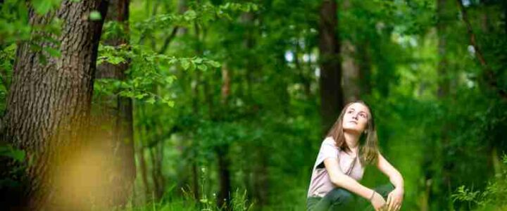 Entdecken Sie die Vorteile des Waldbadens für die geistige Gesundheit